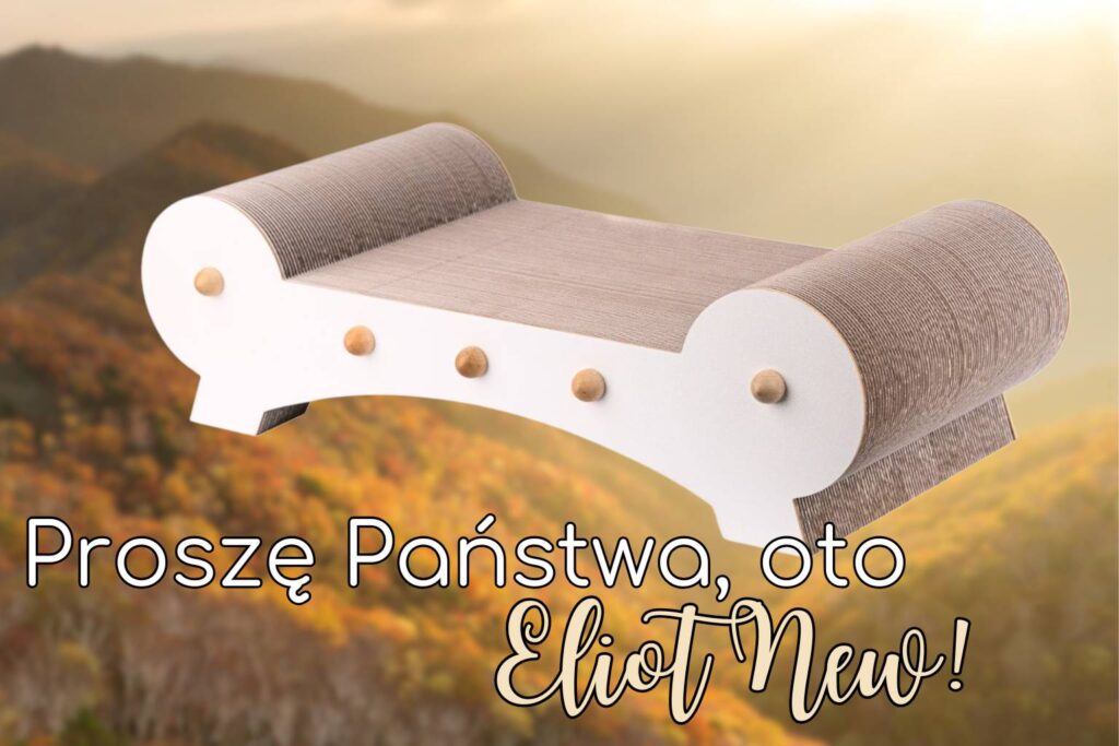 Drewniany drapak ELIOT NEW z linii WOOD LINE na tle gór – designerski drapak premium dla kota
