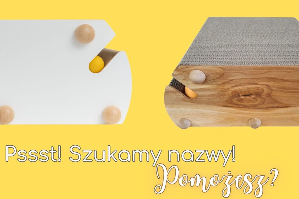 Nazwij z nami drapak